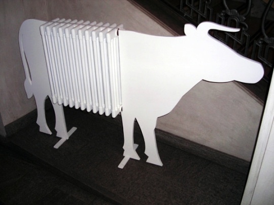 cow cold 2005