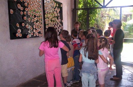 visita mostra I linguaggi del Mediterraneo Carla Crosio