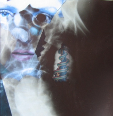 Trasmutazione Collage con lastra Rontgen X-rays_2008