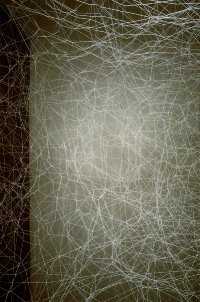Installazione