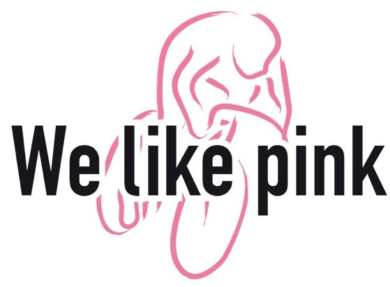 logo We Like Pink a cura di Luca Storero