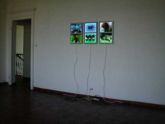 Daniela Carati, 11Kb